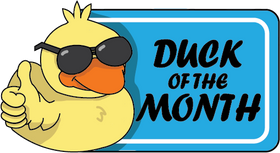 Duck of the Month